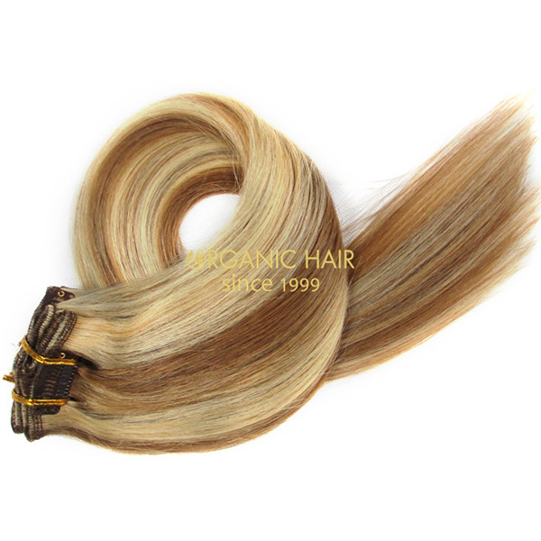 wholesale high quality clip in  virgin human hair extensions A5